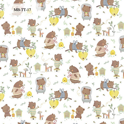 Minky Blanket