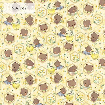 Minky Blanket