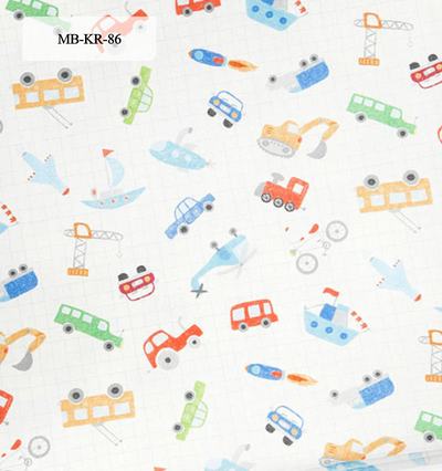Minky Blanket