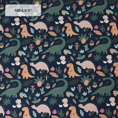 Minky Blanket